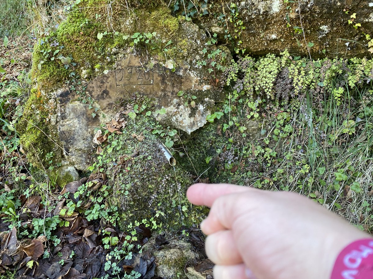 100feliucodines's tweet photo. Repte Fontcodines Trail. Element núm. 46. font del cingle. Sant Quirze Safaja. #fontcodines #oncodinestrail #ensmovemxlagloria https://t.co/DGL8li401Z
