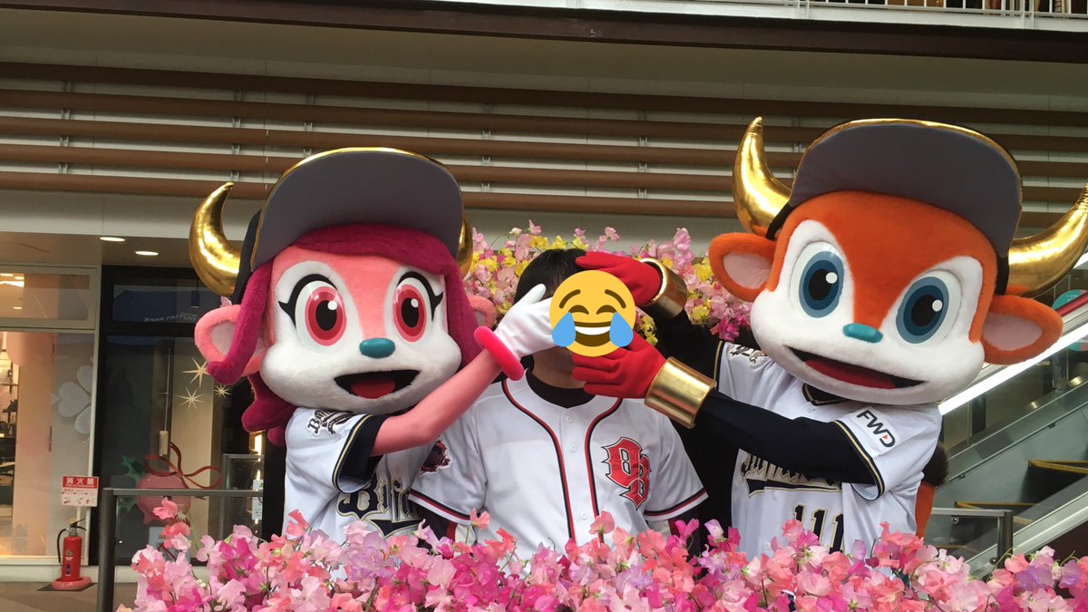 昔の選手名鑑風に1名前2観戦位置3投打4ファン経歴5好きなタイプ6カラオケの十八番7寸評で自己紹介