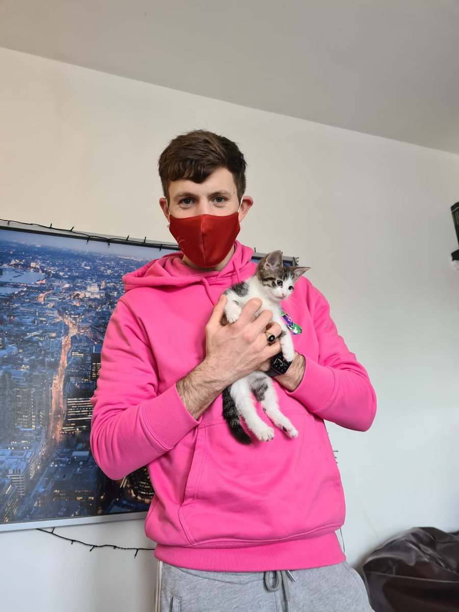 Leo Forte tweet media