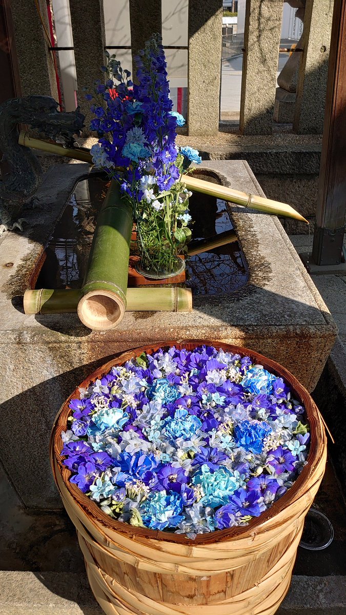 Uzivatel こてーつ 写真 Na Twitteru 高槻市の野見神社の花手水 入り口側 テーマは Blue Flower Action 医療従事者への感謝 高槻 野見神社 花手水 Uzivatel こてーつ 写真 Na Twitteru 高槻市の野見神社の花手水 入り口側 テーマは Blue Flower Action 医療従事者への感謝 高槻 野見神社 花手水