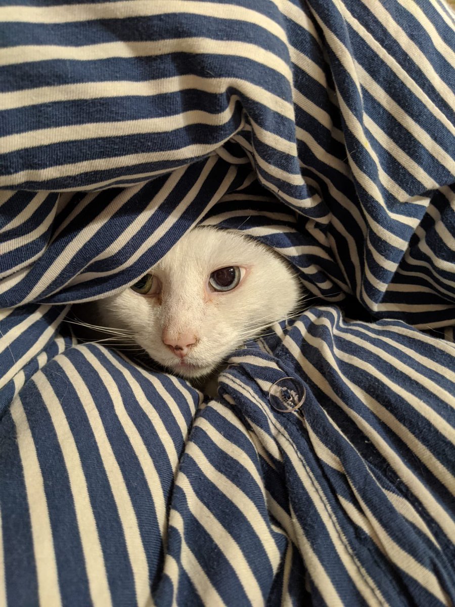 Jilljustwantstowrite tweet media