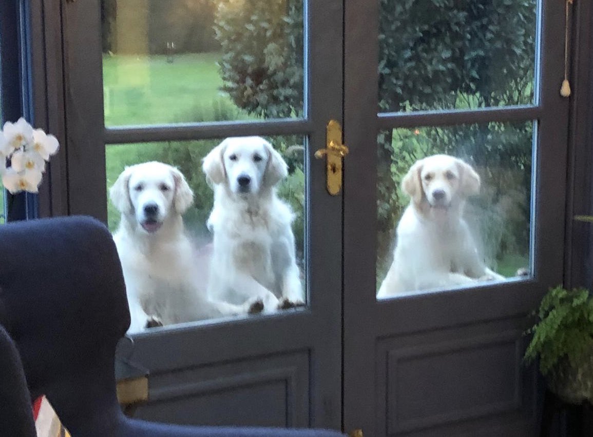 Jilljustwantstowrite tweet media