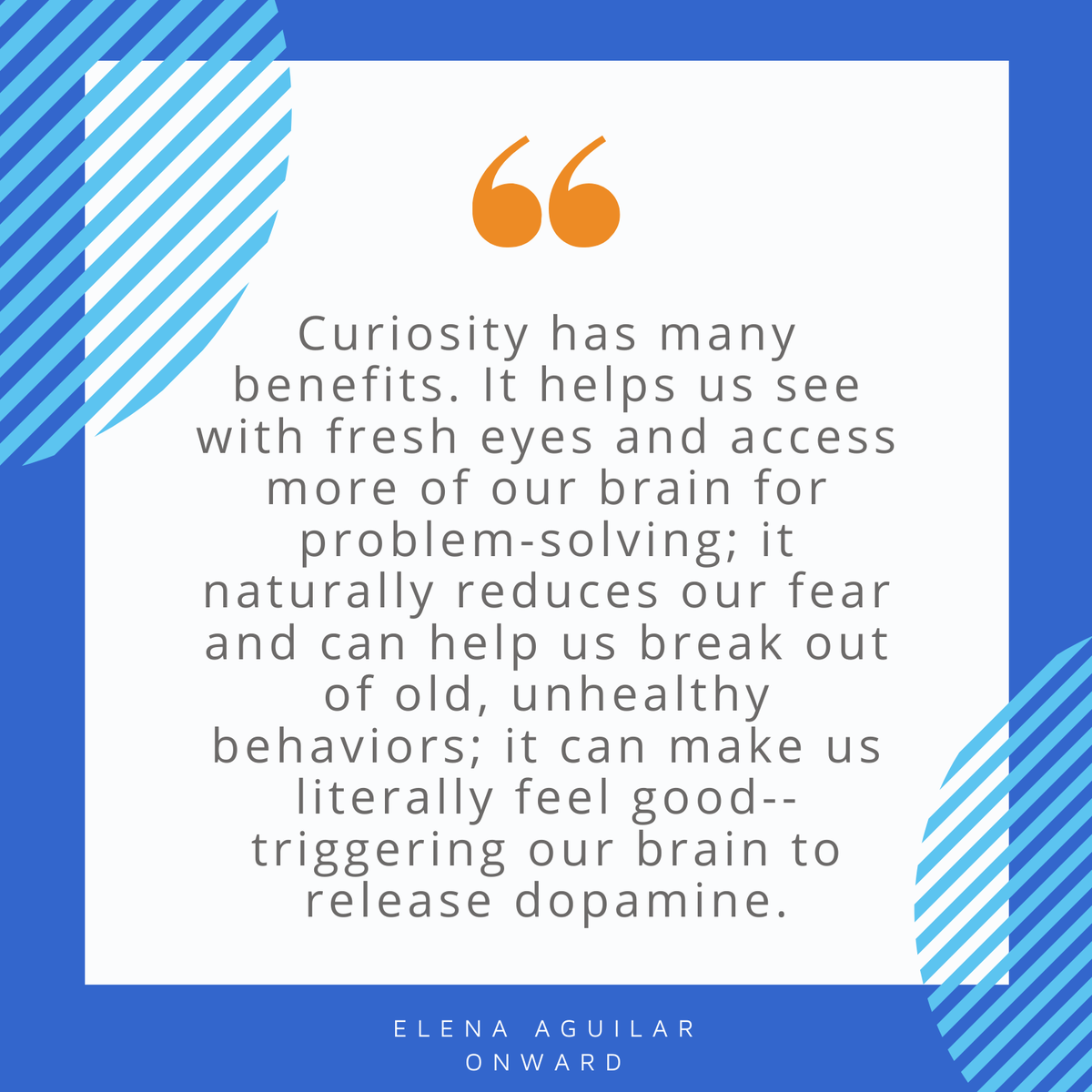 What are you naturally curious about? Where might you need to be more intentional about demonstrating curiosity?