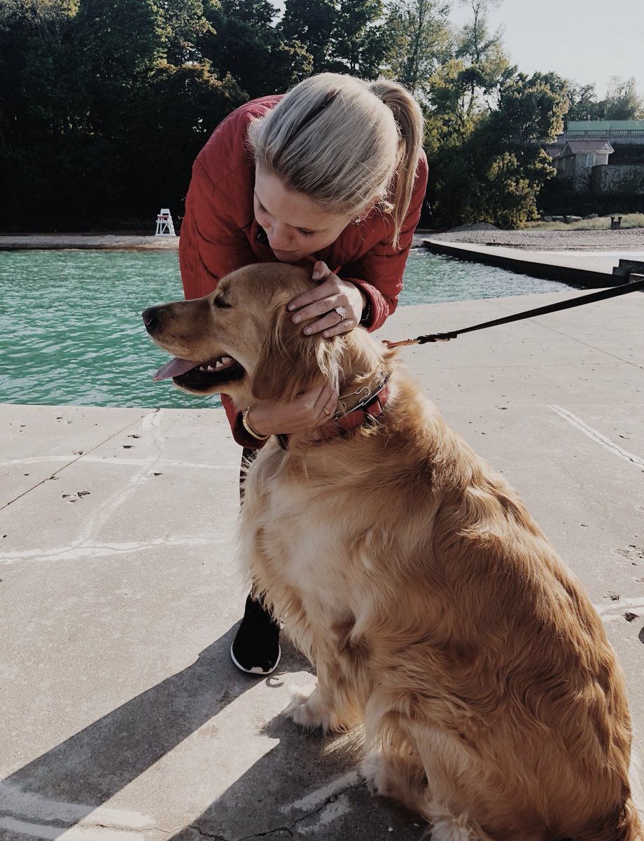 eLyonsMusic's tweet photo. Love is having a pet by your side ❤️🥰💯🐶 #NationalLoveYourPetDay #Wrigley #Boudie https://t.co/YkGN5kS67J