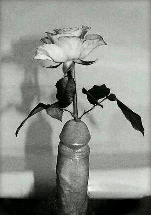 星球874 tweet media