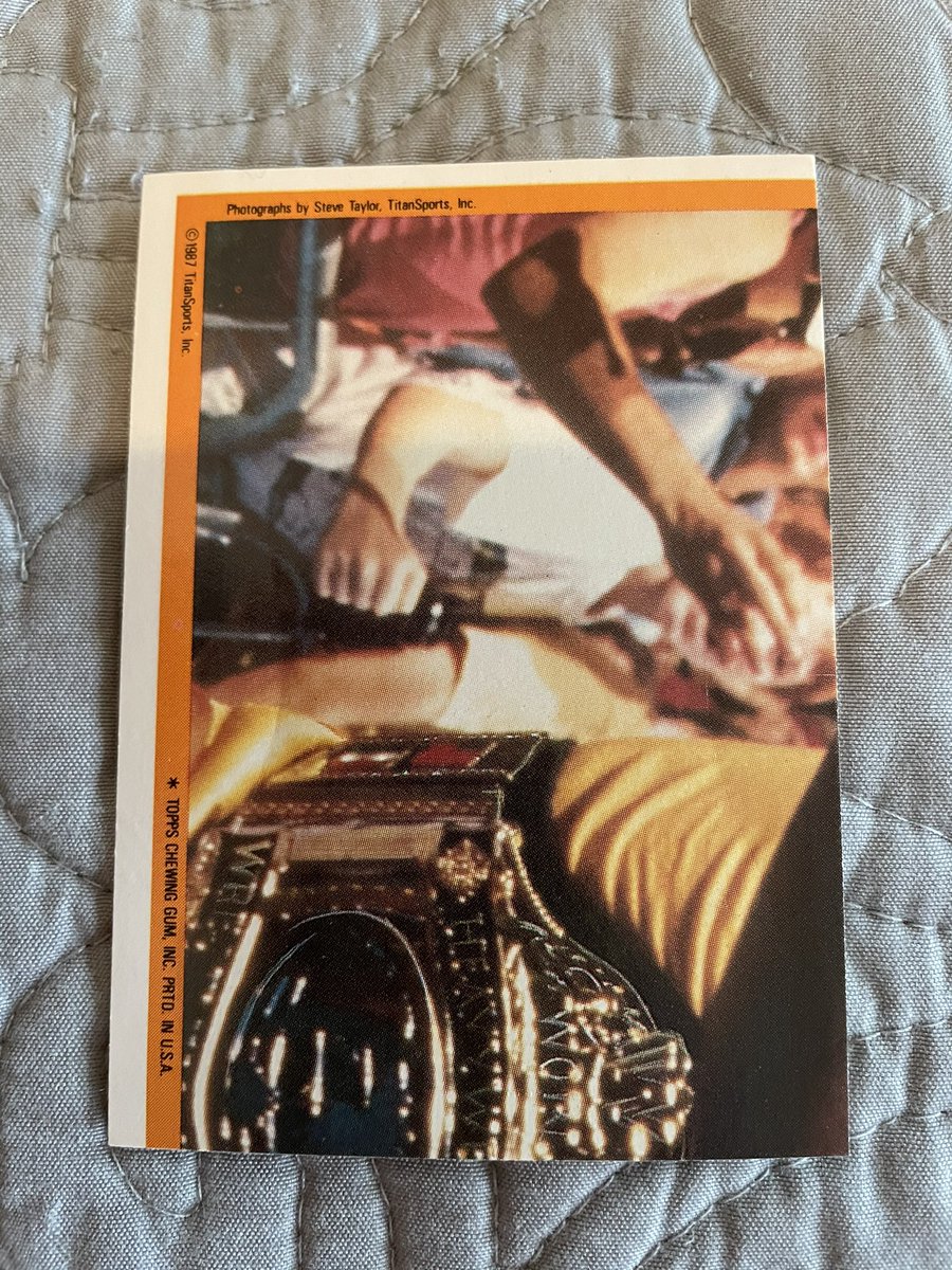 Axel_Foley13's tweet photo. Every #BretHart RC needs a pristine Rookie Sticker! This will def be sent in for grading at #PSA! #Hitman #1987toppswwf #wrestlingcards #mint9 #thehobby https://t.co/oJa9afla1R
