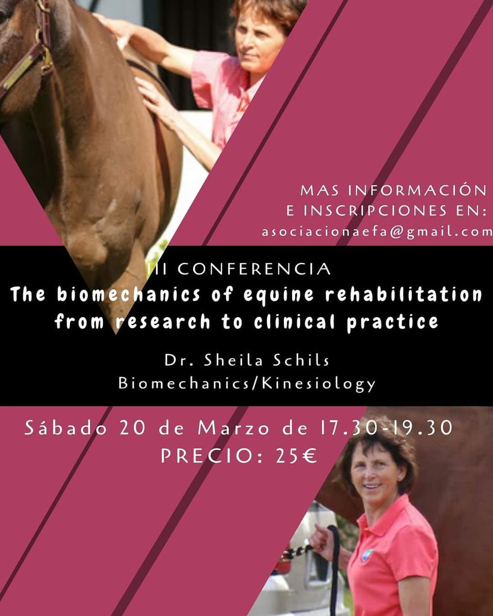 AEF-AEFA Asociación tweet media