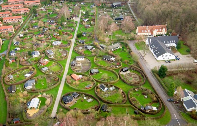 Shit Planning tweet media