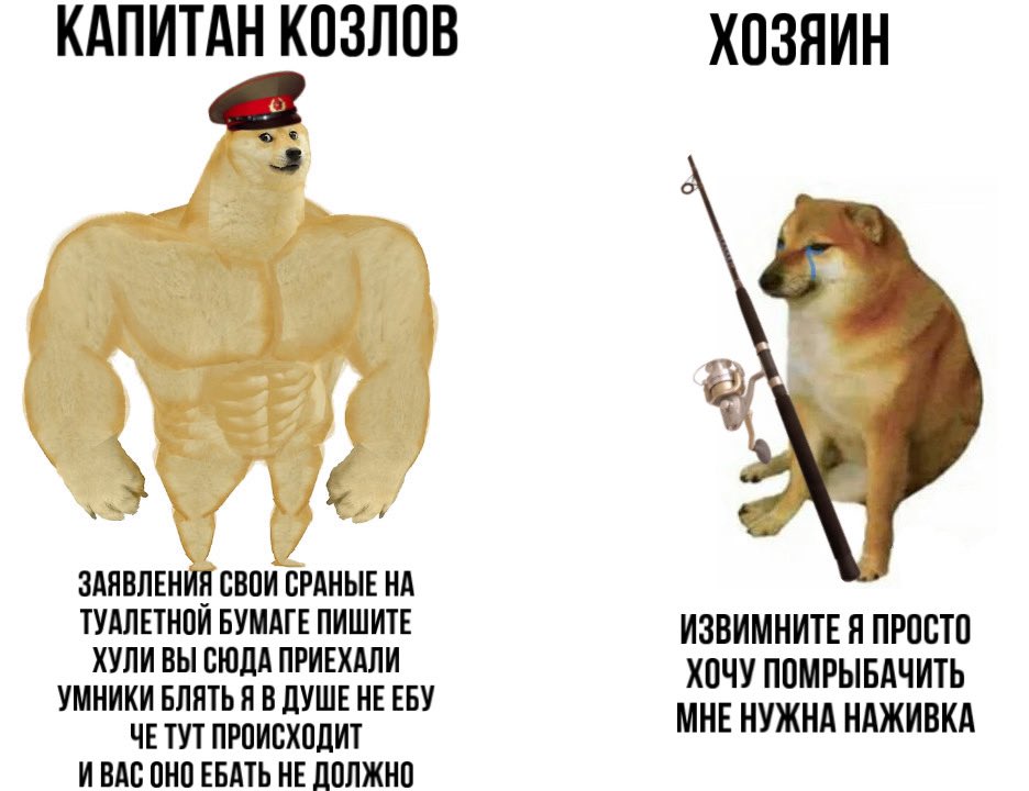 #топи #козлов