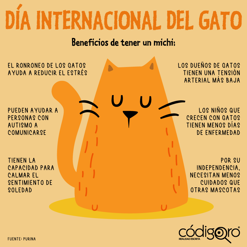 Lista 95+ Foto Dia Internacional Del Gato 17 De Febrero Lleno