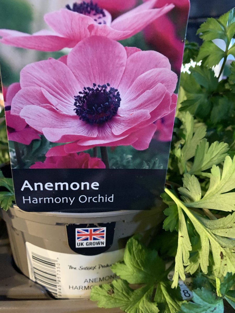 Sussex Produce Co. (@sussexproduce) on Twitter photo 