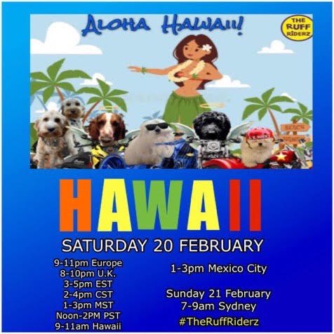 Watch out when crossing the road! Today #TheRuffRiderz will be on their way to Hawaii.