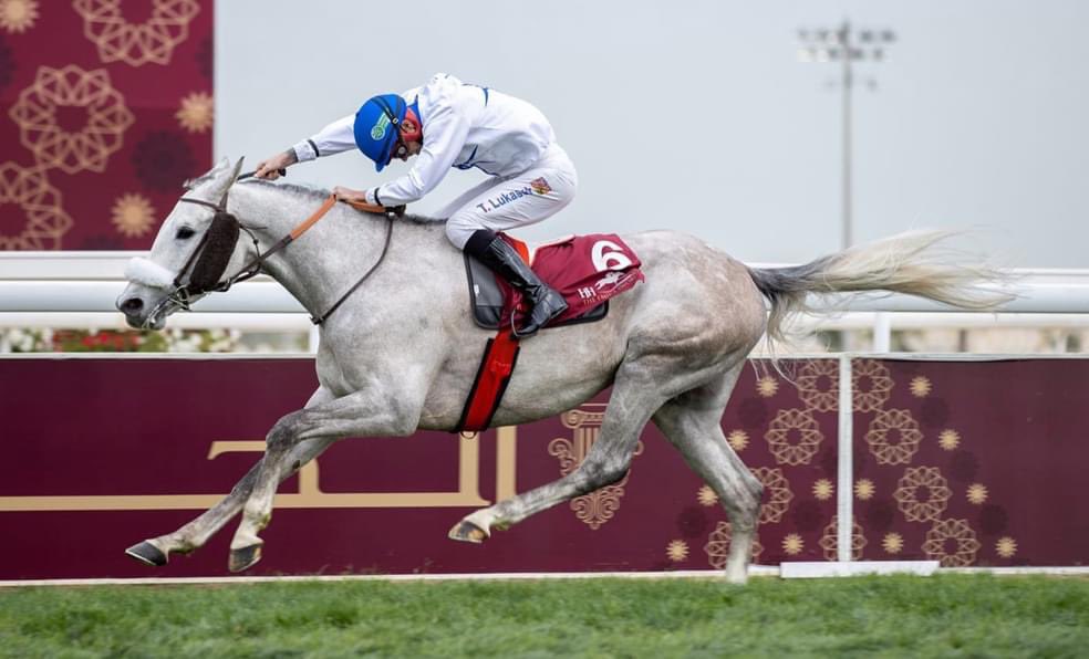 The Arabian Racehorse tweet media