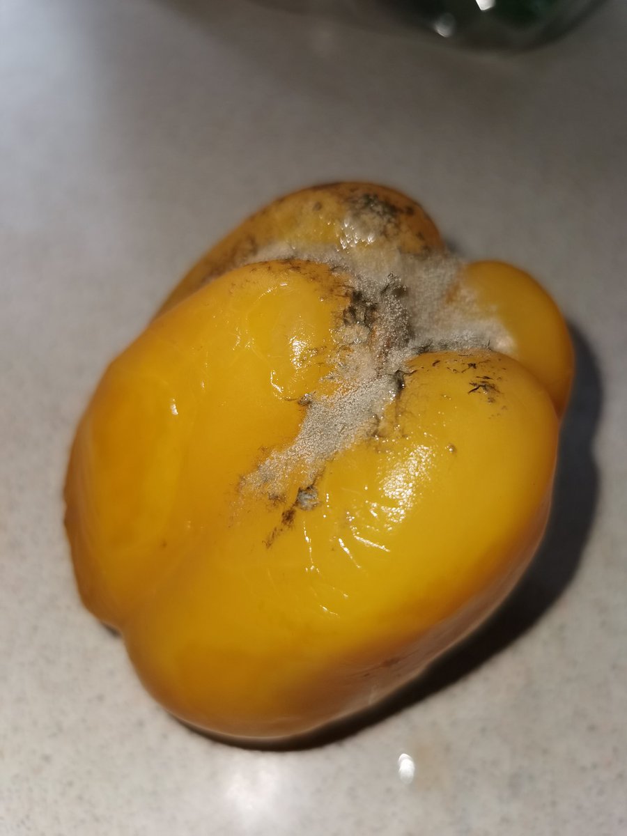 Tattooed_Red's tweet photo. @asda @AsdaServiceTeam could someone please contact me, I've just had an online order delivered and this was one of the items received.
The peppers are for a 20 month old who is obsessed with peppers, obviously this isn't acceptable. Does anyone bother to  check products? https://t.co/Idh6FB6DQs