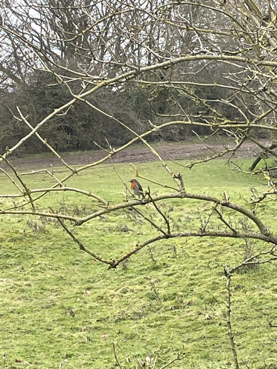Minnieoliver's tweet photo. Spring is around the corner 🎉 https://t.co/vzhu8tnhiB