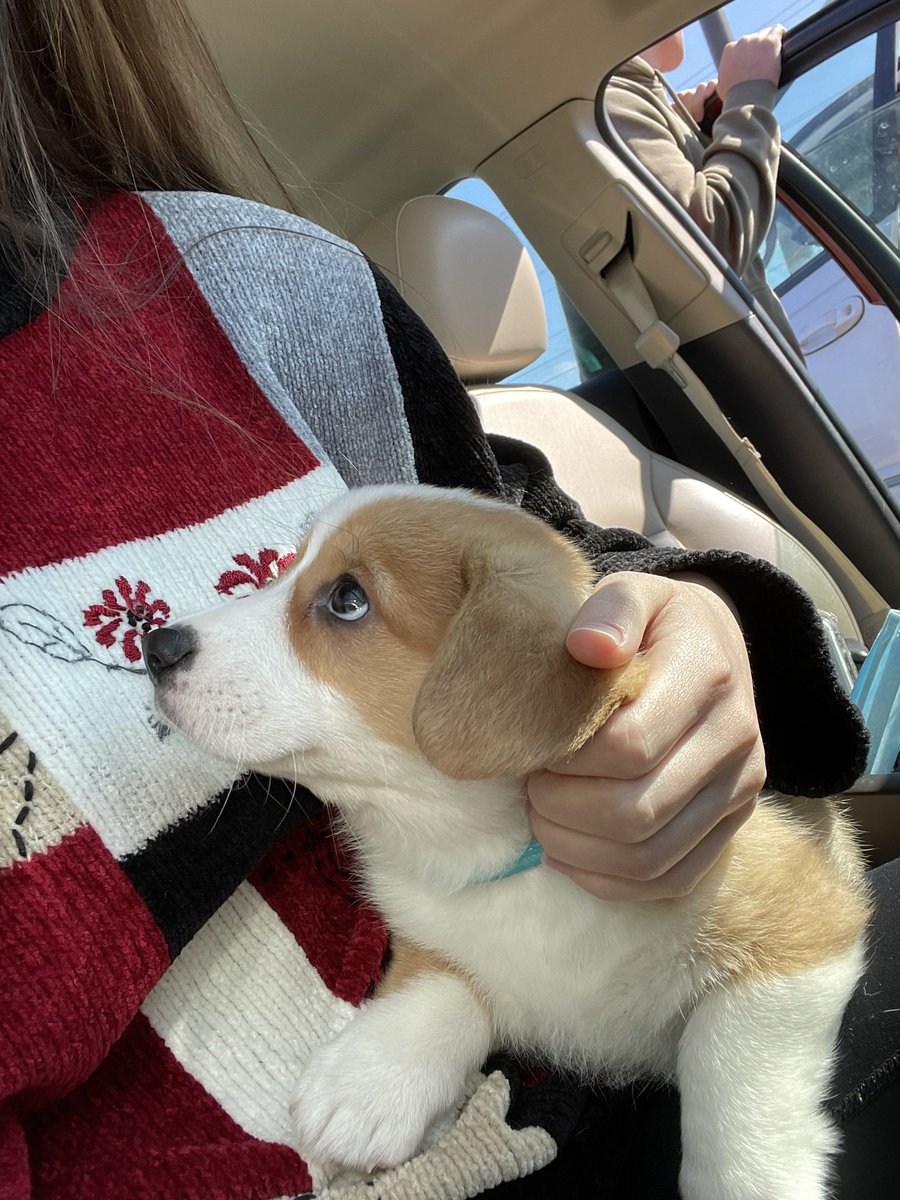 ariafosdick's tweet photo. We are in love🥰 https://t.co/L5TOeXWaUs