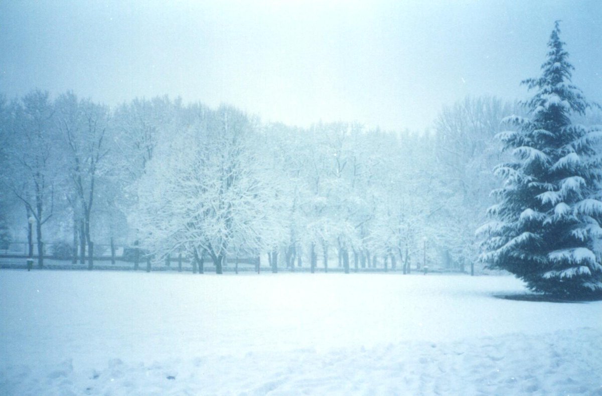 Unaidesga's tweet photo. @ElTiempoNavarra @DiariodeNavarra Fotos de aquella nevada. https://t.co/VxCsoH5Xzh