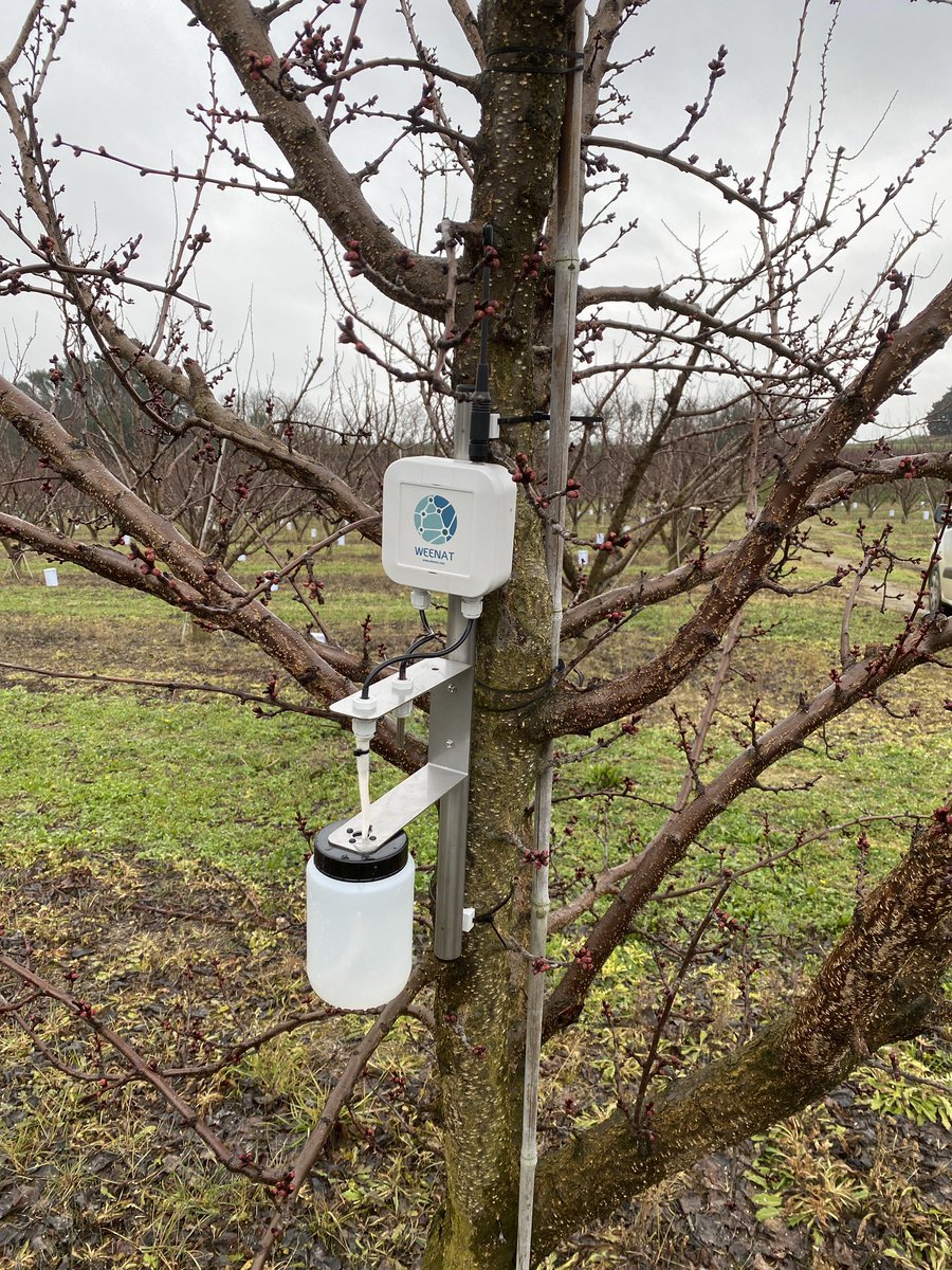 StaffStephan's tweet photo. #Innovation chez Charriere Distribution , 5 stations météo supplémentaires sur notre réseau qui compte à ce jour +de 60 stations.
Merci à nos clients, merci @weenat_com
#agriculture #clientsatisfait #charrieredistribution #weenat
#biodiversité #agriculteurs https://t.co/1vhIQSk4E3
