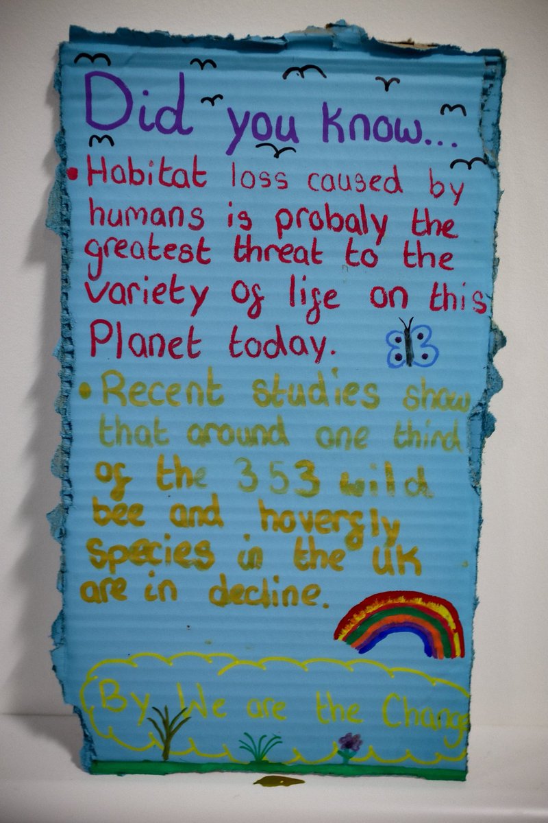 YMCA Digital tweet media