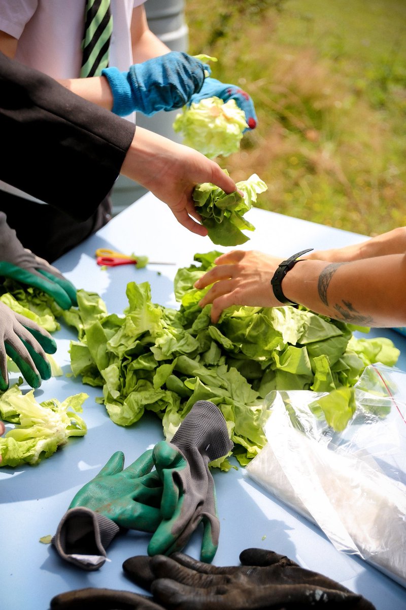 YMCA Digital tweet media