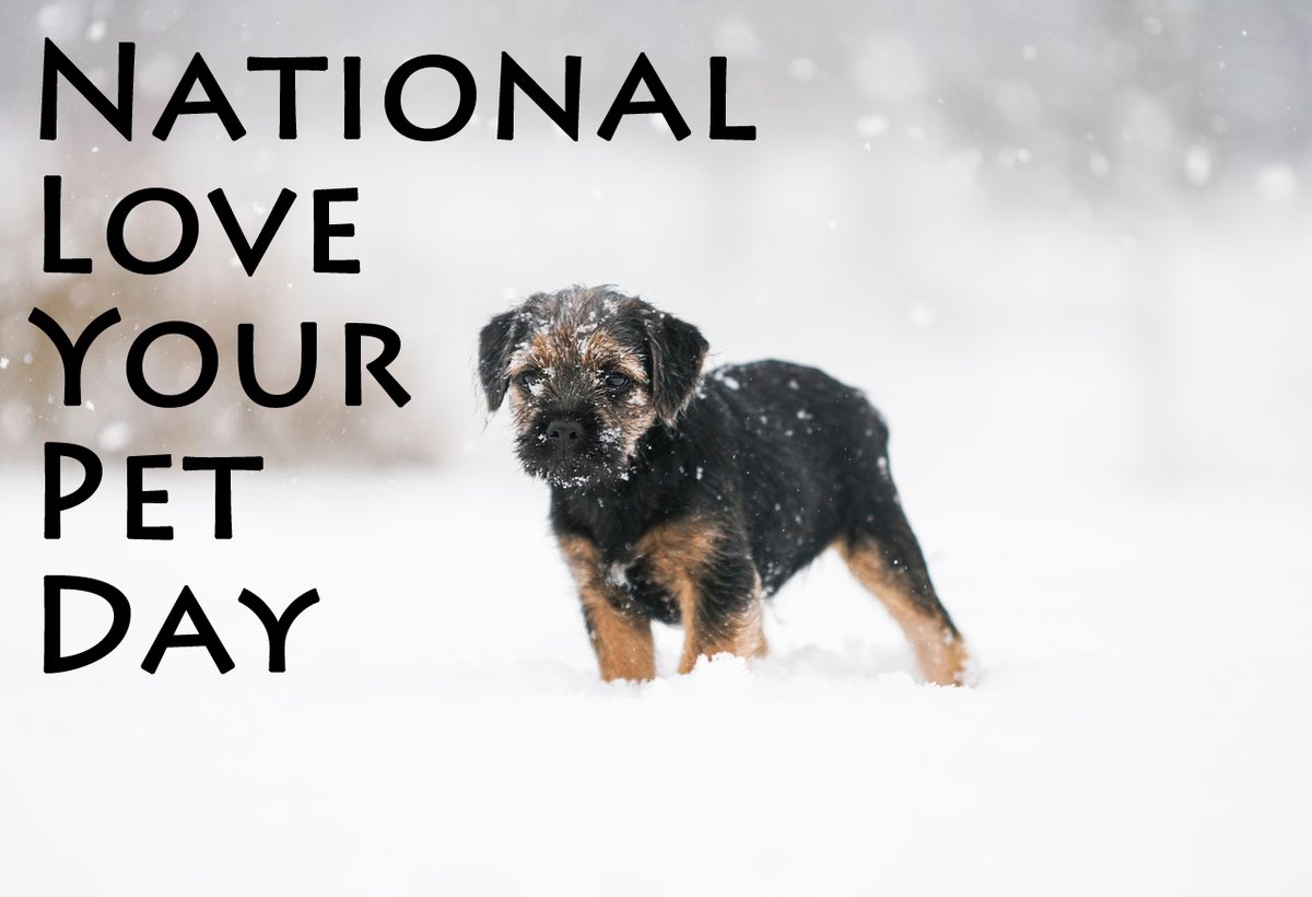 Even though it's cold outside, animals must still be leashed or contained when outdoors.