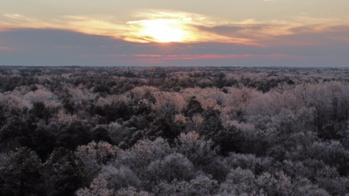 sunrise in southern maryland this morning..above the frozen trees <a href="/suepalkafox5dc/">Sue Palka DC</a> <a href="/fox5dc/">FOX 5 DC</a> <a href="/capitalweather/">Capital Weather Gang</a> <a href="/jb_weather/">Forecaster John</a> <a href="/gwenfox5dc/">Gwen Tolbart, Fox5DC</a> <a href="/TenaciousTopper/">Topper Shutt</a> <a href="/dcstormchaser/">Kevin Ambrose</a> <a href="/BillWeirCNN/">Bill Weir</a>