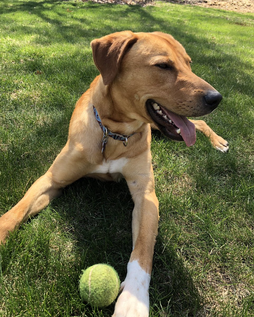 Jennie LoRicco tweet media