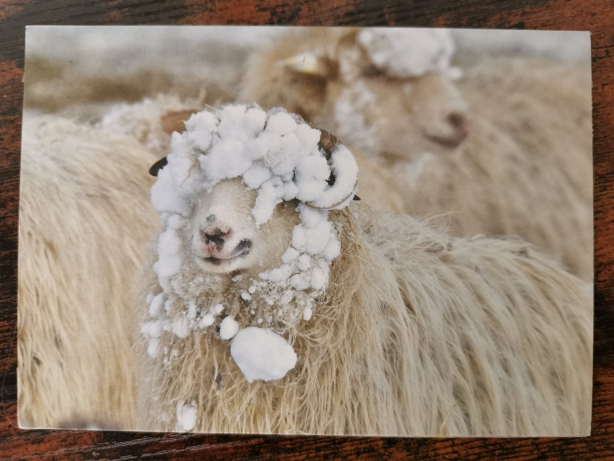 itismomsworld's tweet photo. #500 #receivedcard #postcrossing https://t.co/b4Dn2VFm1q