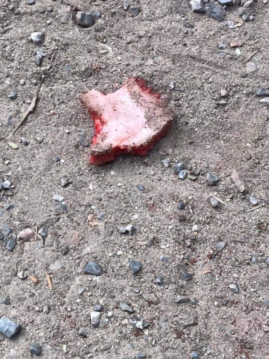 Pencilo4's tweet photo. Police are committing crimes against humanity under Junta.

TW// Blood Wound

SUPPORT CRPH

#Feb20Coup
#WhatsHappeningInMyanmar https://t.co/1lakRhoTBE