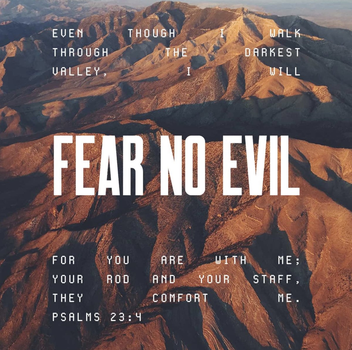 GodDailyImpact's tweet photo. #BeAssured the Lord is with you at your low and high points in life. Surrender your will to His Will and let HIM guide and comfort you. Release the oil God has placed in your cup with others so they may be bless by His oil of comfort and guidance which is life. #TrustGod https://t.co/7exmHTX5km
