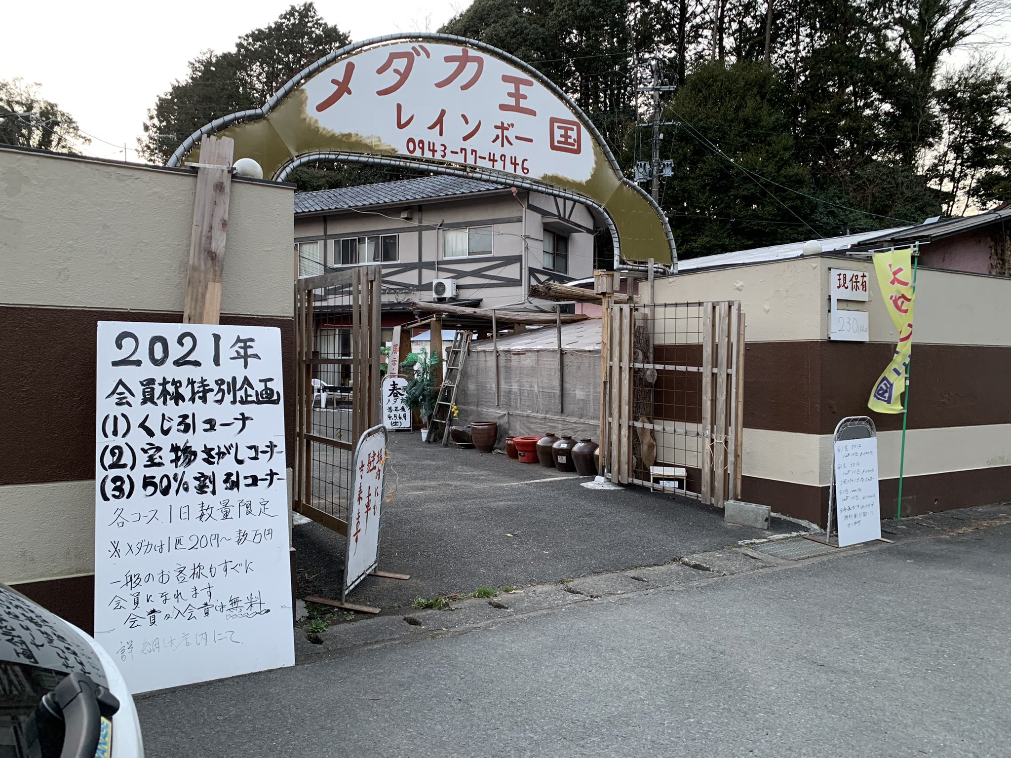 ののさん 垢 No Twitter 今日は会社にゴネて取れた 貴重な土曜日休みでした 超久々にメダカ王国レインボーへ 前回行った時より バージョンアップしすぎてビックリ おっちゃん楽しすぎて気付いたら 2時間以上居座ってましたw 数種類取り置きしてもらっ