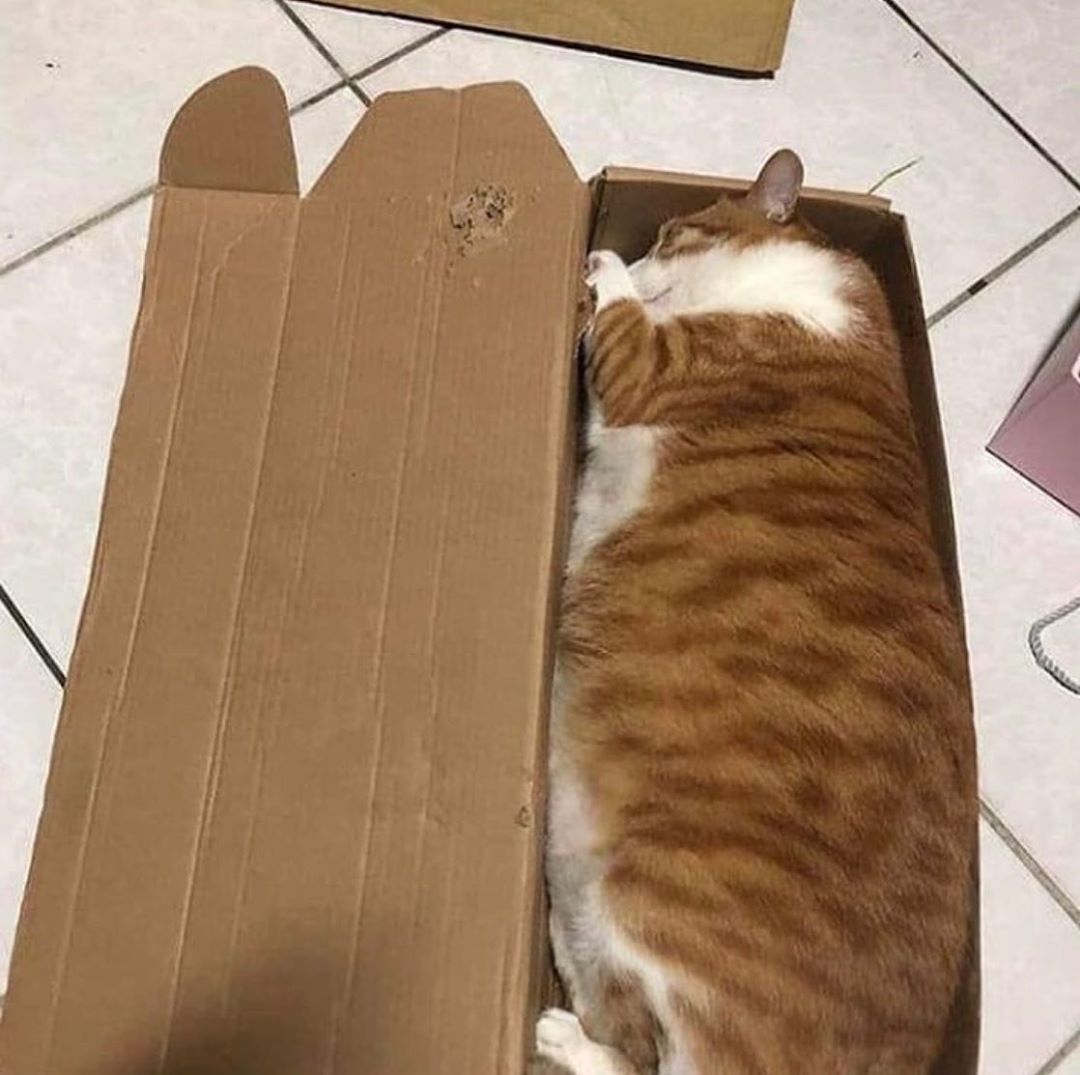 แพคแย่มากค่ะทำไมไม่ห่อกันอ้วนมาด้วย