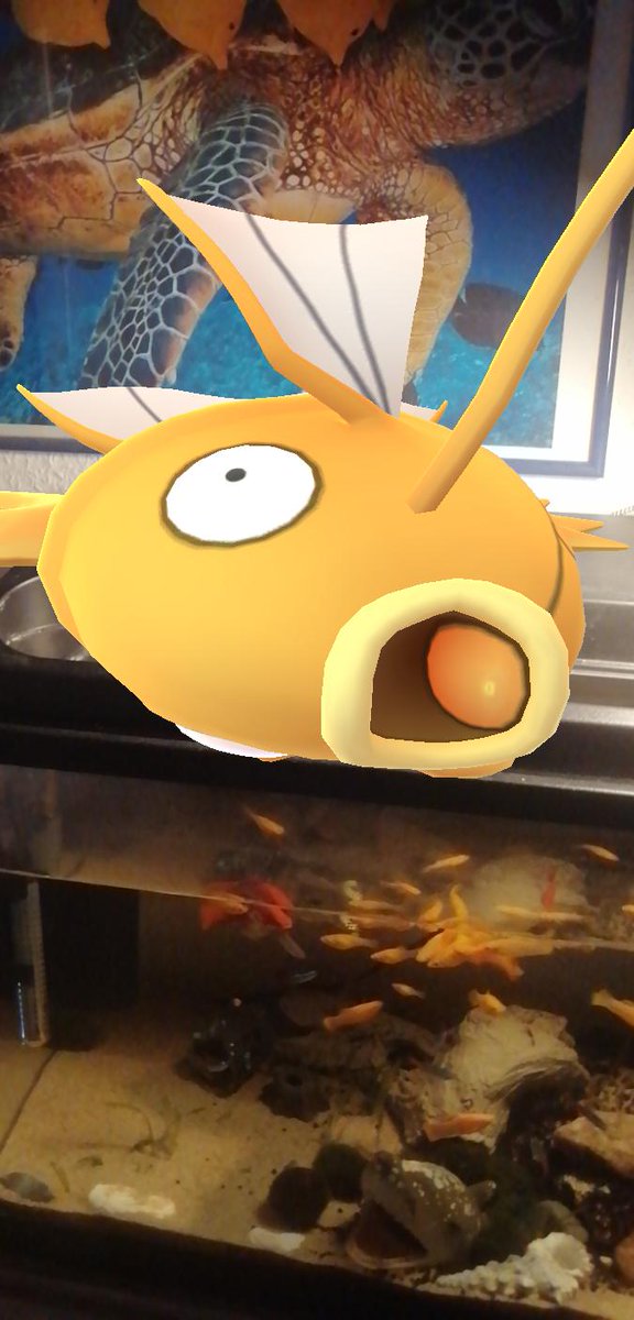 RobelDavid's tweet image. #PokemonGOTour