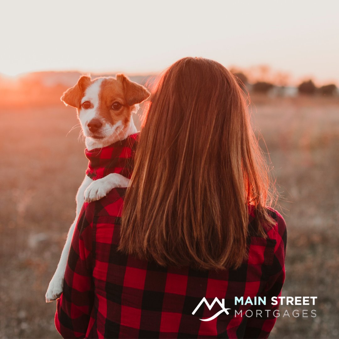 CGA_M0RTGAGES's tweet photo. It’s National Love Your Pet Day! It doesn’t matter if you own a cat, dog, bird, fish or reptile, today is the day to pamper them and show them how much they mean to you.

Visit 👉 https://t.co/IBe0b4YL7E

.
.
.
.
.
#MortgageCheckUp #DufferinCounty #Caledon #Orangeville #OneDa ... https://t.co/3kuPqZcYbT