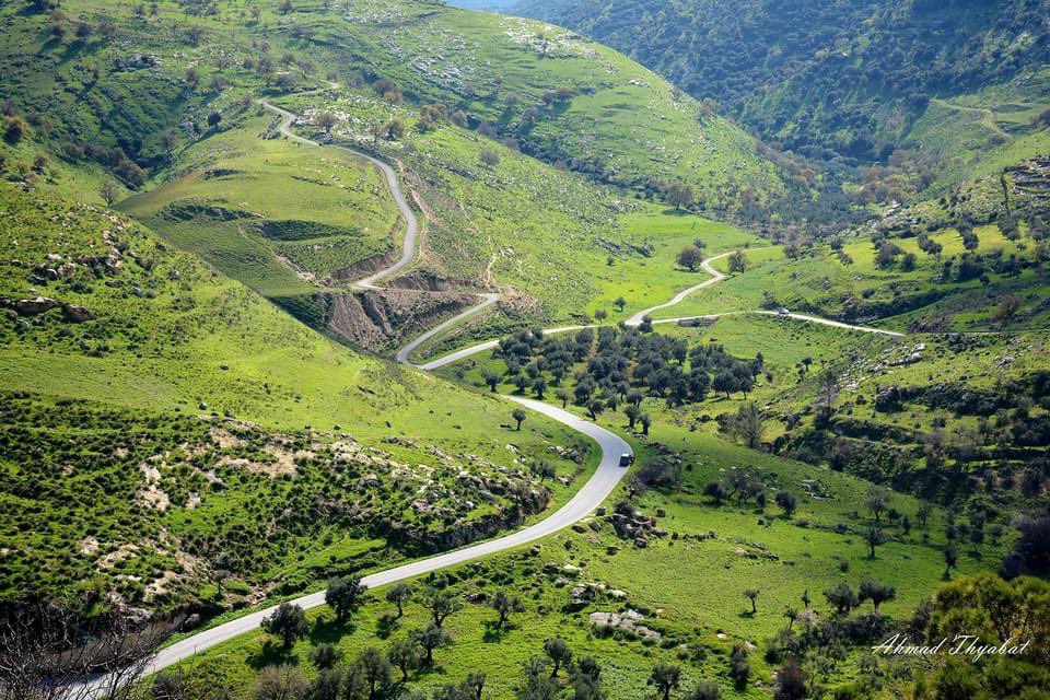 LetsGoToJordan's tweet photo. محافظة عجلون ( المحافظة الجميلة ) اليوم بعدسة المبدع : Ahmad Thyabat . #الأردن #عجلون #ربيع_الأردن_أحلى #يلا_على_الأردن https://t.co/PNjOoYh7MW