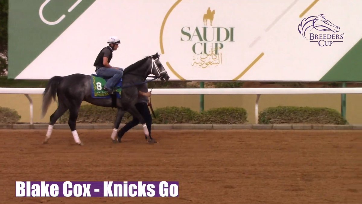 @BreedersCup's photo on Knicks Go