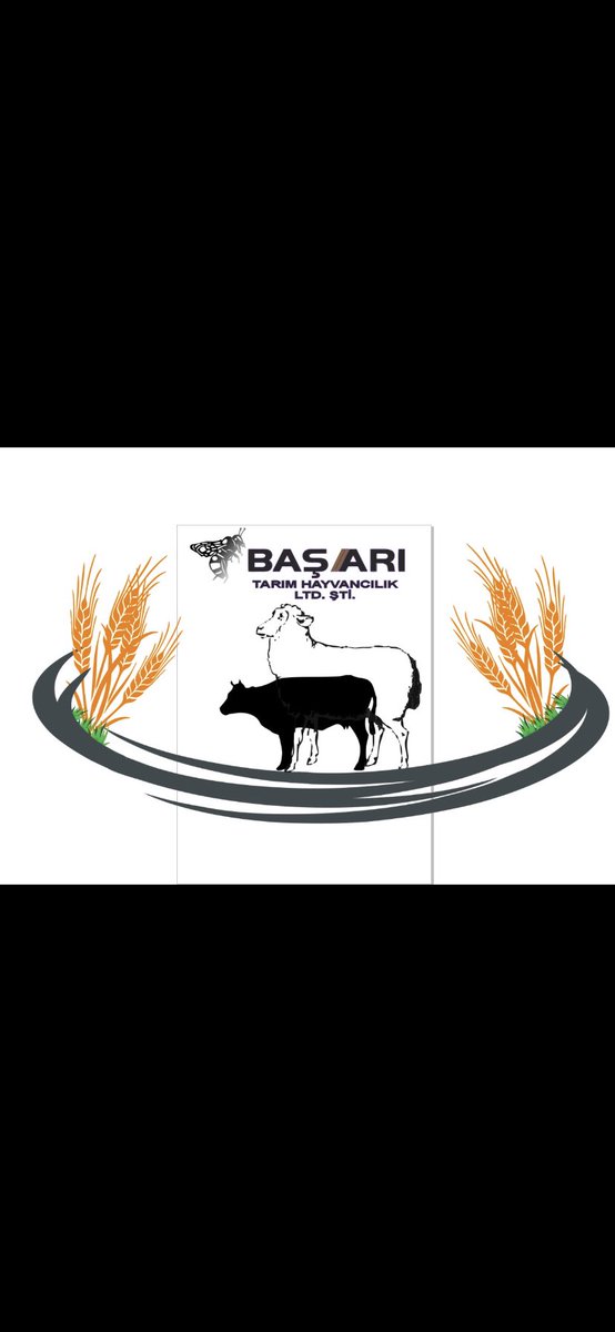 Fırat BAŞ (@firat_bas40) on Twitter photo 