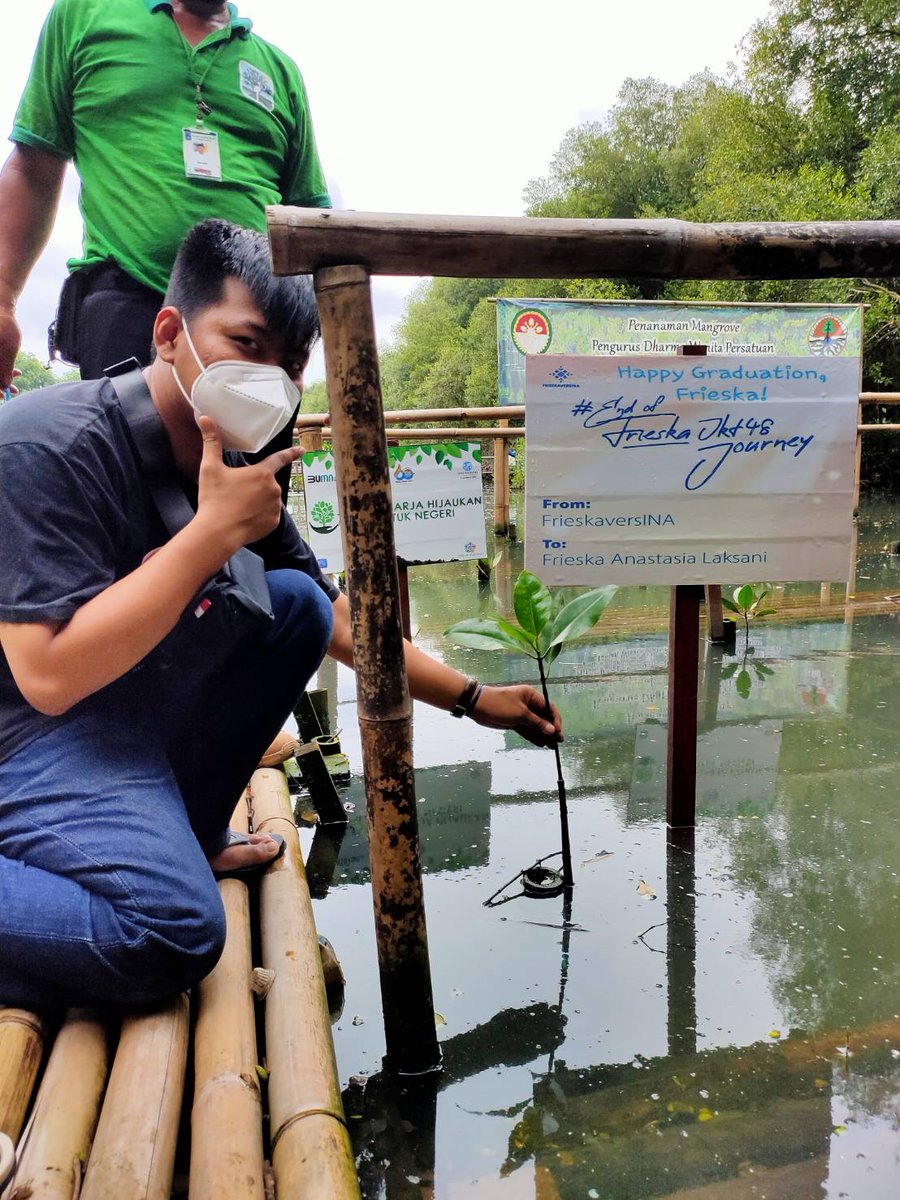 FrieskaversINA's tweet photo. Kedua, sebagai bentuk kepedulian terhadap alam kami atas nama nona @frieskaJKT48 melakukan penanaman 100 bibit mangrove di Taman Wisata Alam Mangrove, Pantai Indah Kapuk
#EndOfFrieskaJKT48Journey https://t.co/ZCEnKPyNDC