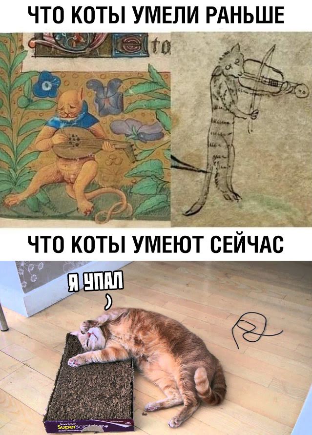Как раньше выглядели коты
