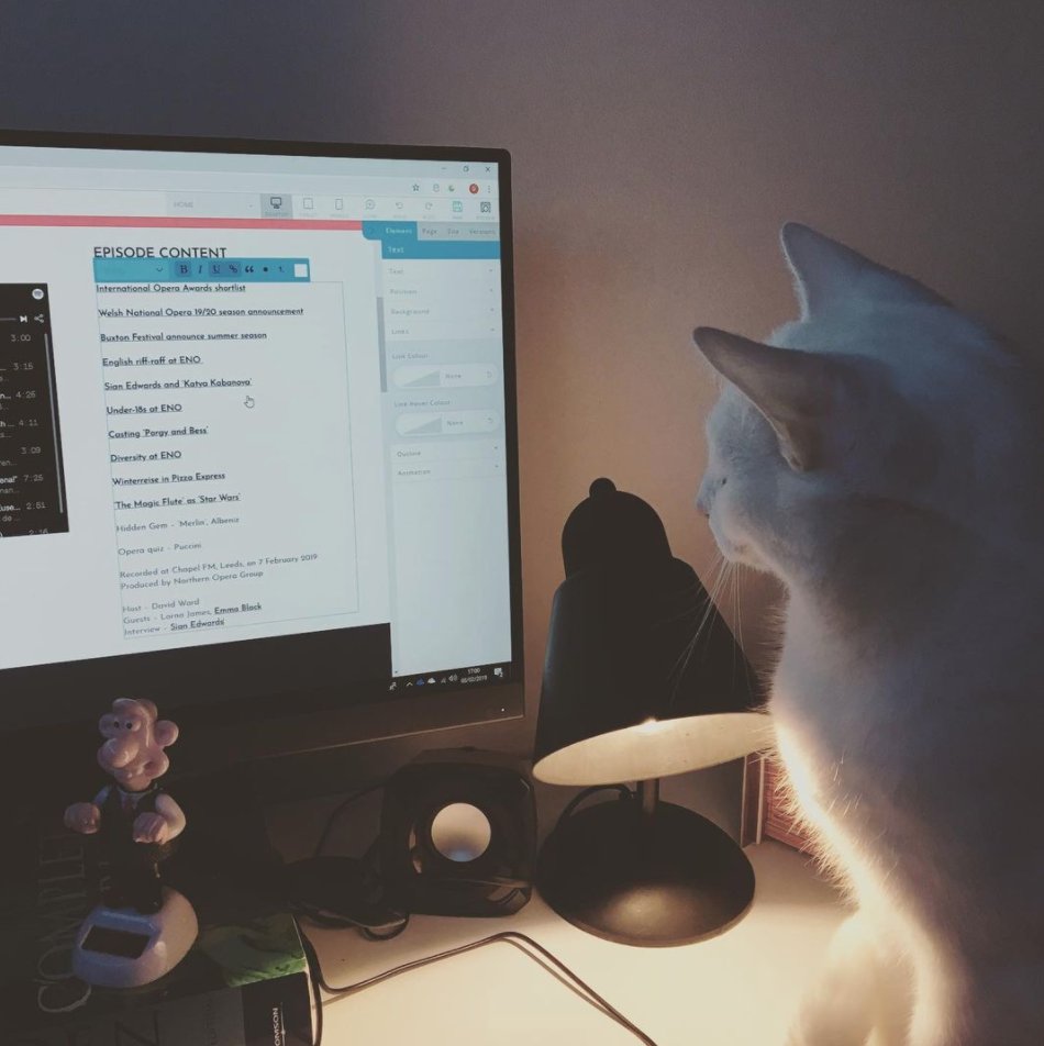 santafeopera's tweet photo. #Caturday is always a good day for... #operactas!
#repost operacast
*Exclusive* behind the scenes content of our web editor at work ... #operacats #catsofinstagram https://t.co/hj6wiGGU1h
