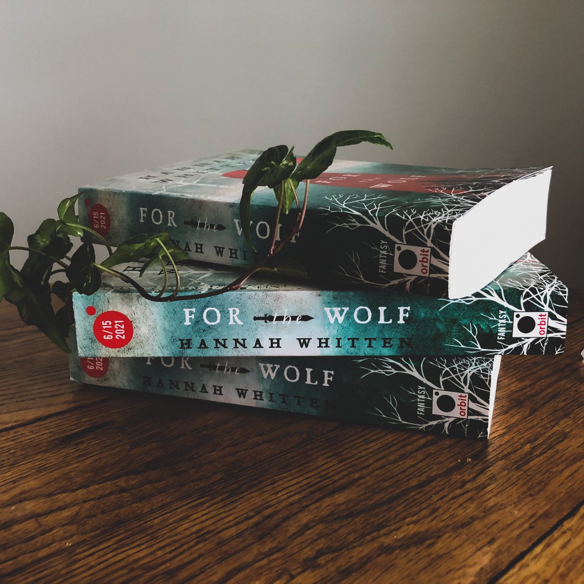 Now that I have a fresh stack o FOR THE WOLF ARCs.....giveaway?
✨RT/F
🌲2 winners
🐺open internationally
🌿ends March 5
🩸will also throw in the full set of character tarot cards by <a href="/velanadesigns/">✨Jaria Rambaran✨ Open for Work!</a>!