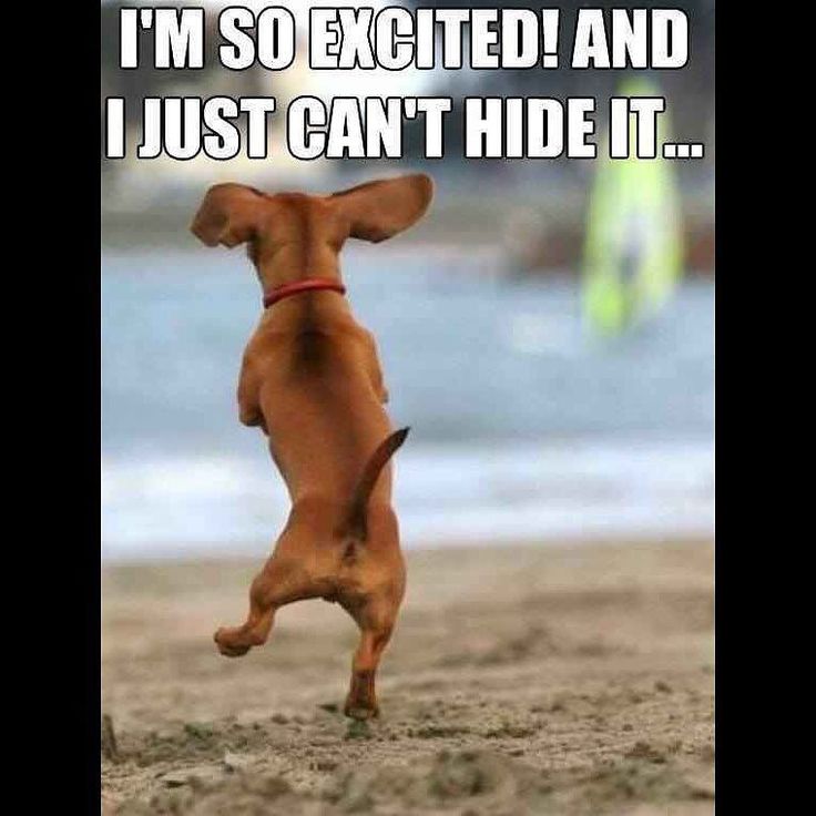 ITeethPC's tweet image. 