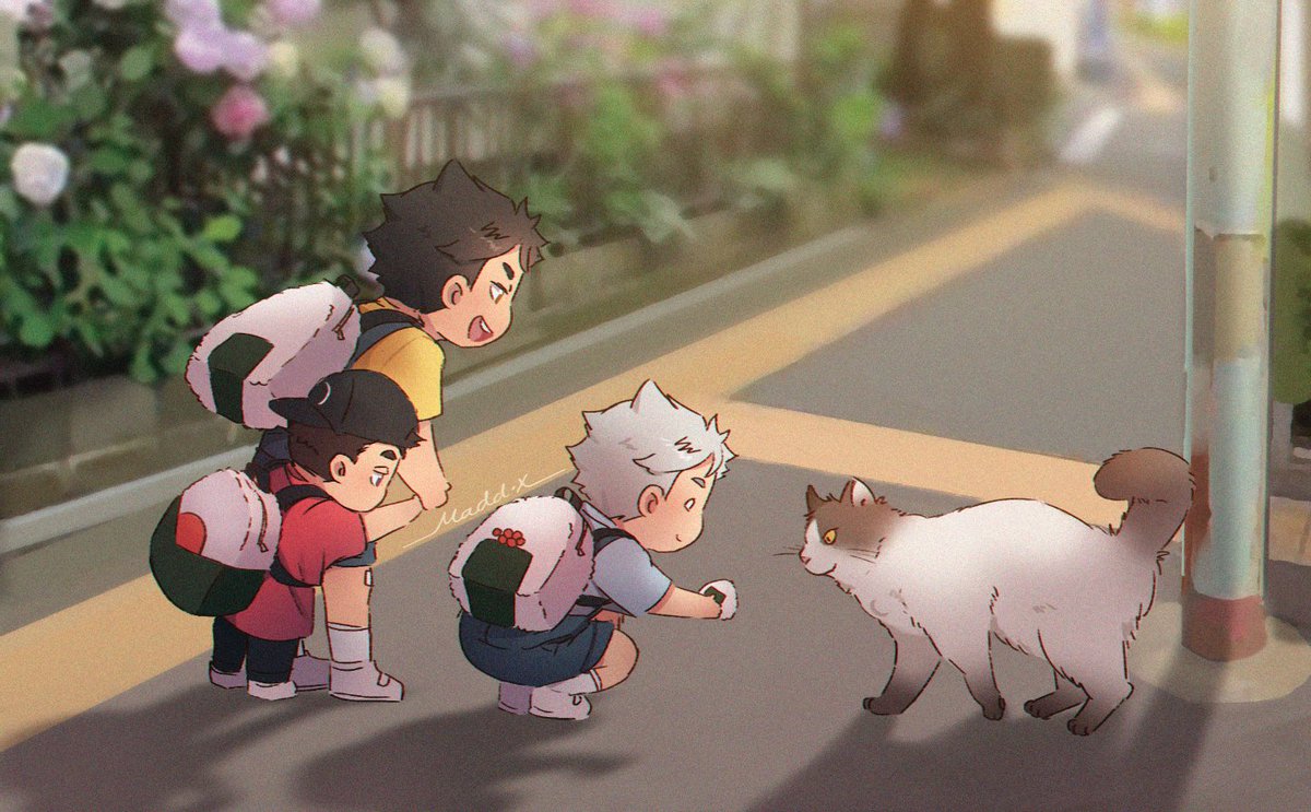 A new friend 🐈✨
#ハイキュー #Haikyuu