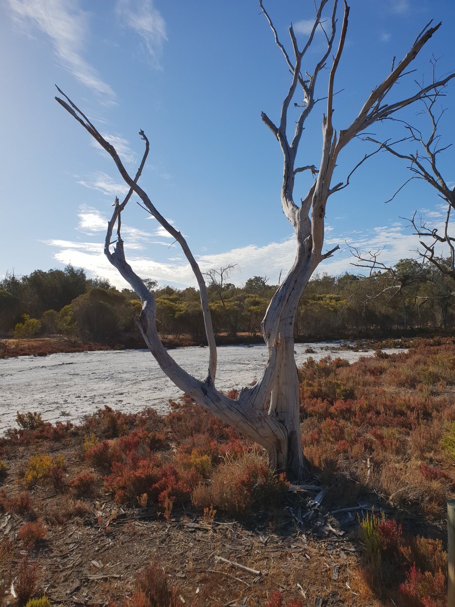 #NaturePhotography #mypics