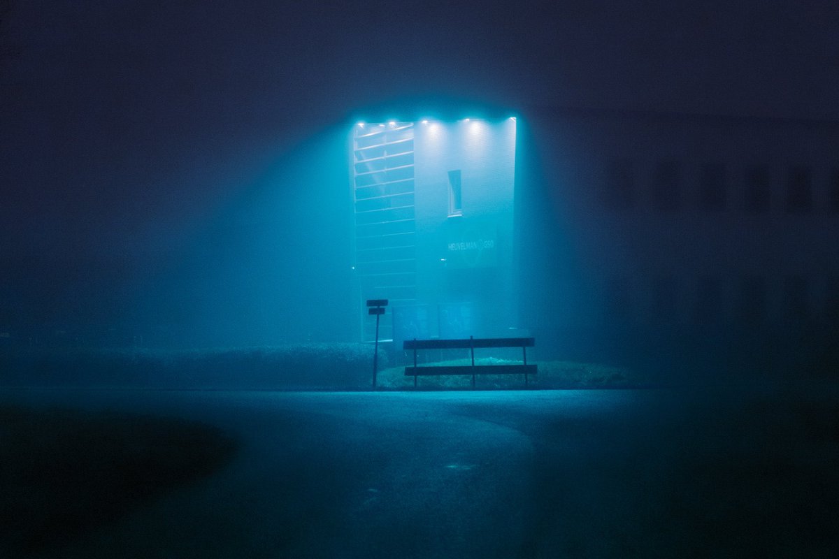 melopacare's tweet photo. Fog in color https://t.co/mYbj2fzZHm