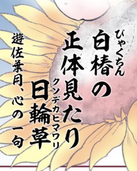 ちなみにこれは77さんの二つ名である白椿(しろつばき)と、透き通るような白く美しい77さんの白椿(びゃくちん)を掛けた高度な俳句な訳です。(俳句の先生 