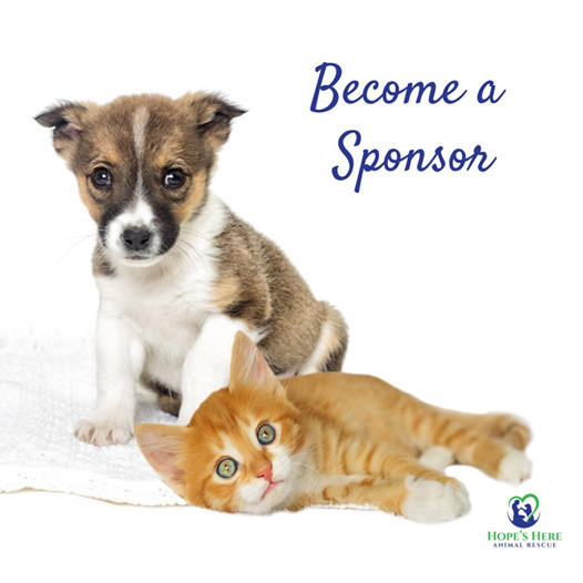 HopesHereMD's tweet photo. Hope's Here Animal Rescue needs your help! 
It's with your generosity we can operate and continue this life saving work. Please donate today. https://t.co/gUG6L9BlIx https://t.co/wGh6JWjVF8