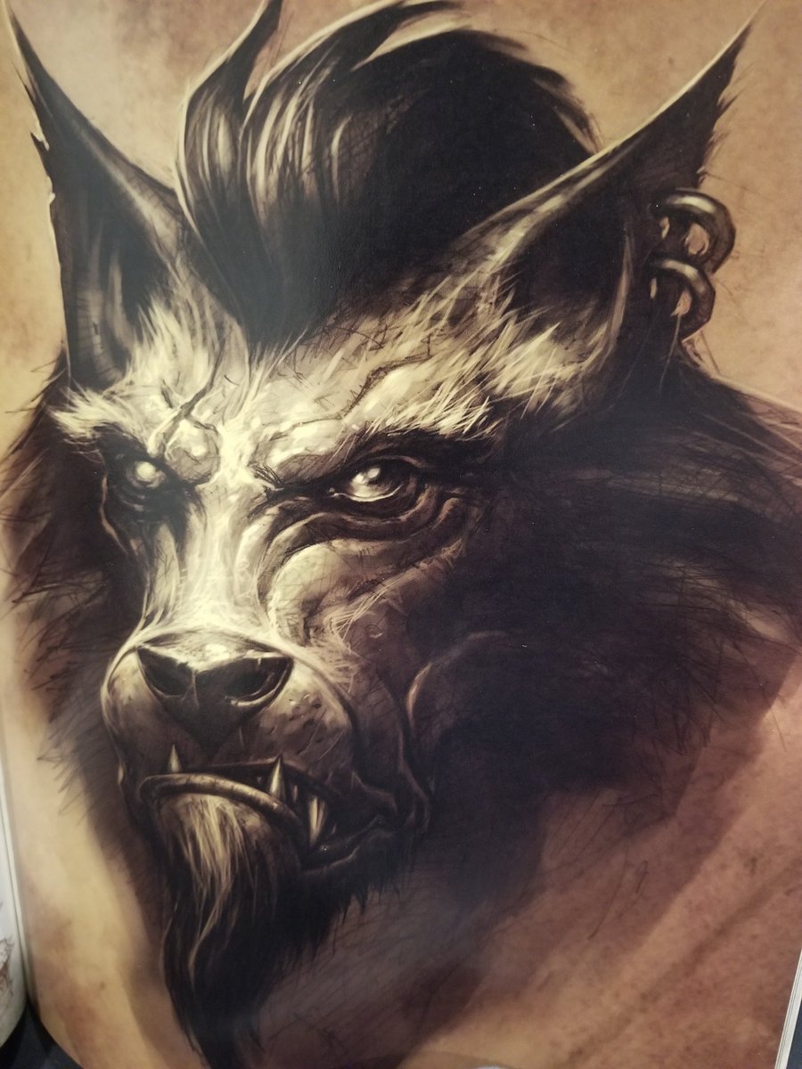 AntonioJ31's tweet image. #Worgen art dump for more #customizationoption ideas. Most of these are from the art of WoW Cata.