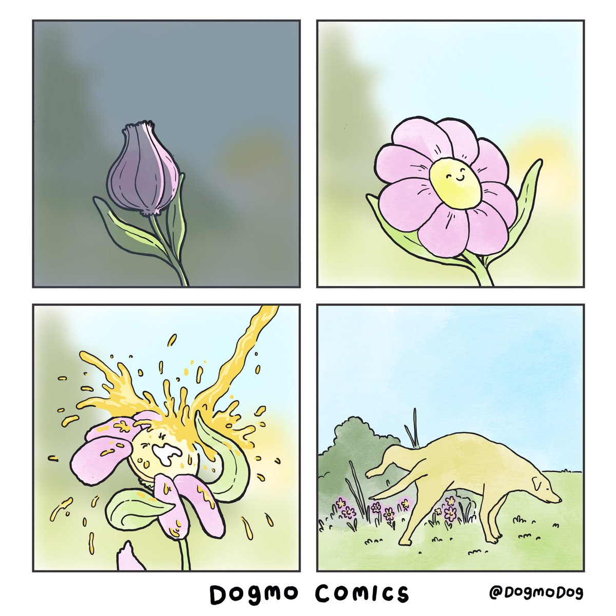 dogmo (@dogmodog) on Twitter photo 