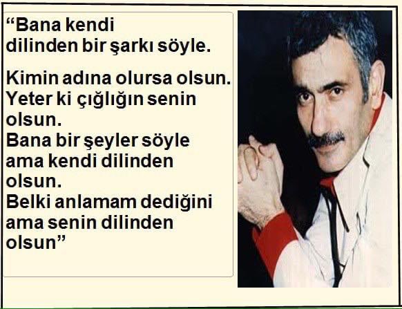 Dünyada 194 ülkeden, 113 ülkenin birden çok resmi dili var. Çin Halk Cumhuriyeti’nde 51, Hindistan’da 36, Rusya’da 34, Güney Afrika Cumhuriyeti’nde 11, Irak’ta 4, İran’da 8, İtalya’da 11, İngiltere’de 10, ABD’de 8 ve Bolivya’da 37 resmi dil bulunuyor